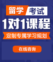 白丝学妹被艹出水留学考试一对一精品课